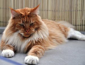 DSC august10 436.jpg