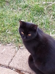 Drehen von 20150319_Mausi im Garten.jpg