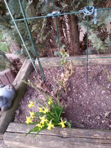 Drehen von Hochbeet.jpg