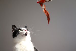 ImageUploadedByTapatalk1427804280.029710.jpg ImageUploadedByTapatalk1427804280.029710.jpg