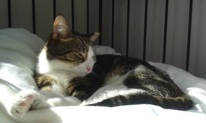 20150328_141944 (640x384).jpg