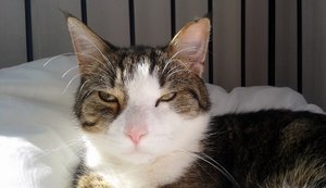 20150328_142000 (640x369).jpg