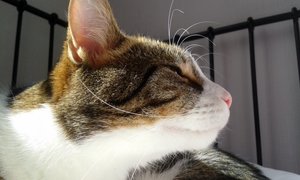 20150328_142015 (640x384).jpg