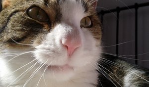 20150328_142023 (640x375).jpg