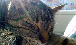 20150328_143334 (640x379).jpg