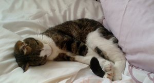 20150328_155644 (640x346).jpg