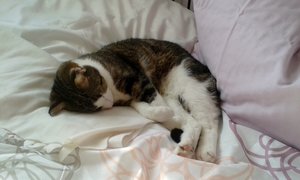 20150328_155647 (640x384).jpg