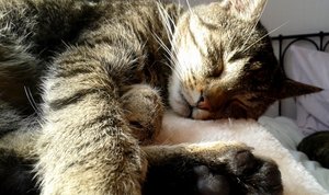 20150328_155713 (640x378).jpg