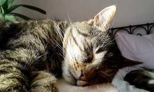 20150328_155721 (640x384).jpg