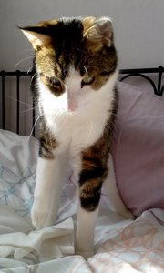 20150328_160029 (382x640).jpg