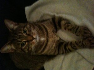 bilder vom i phone 055.jpg