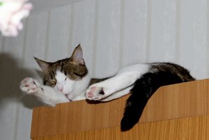 IMG_9877 (640x427).jpg