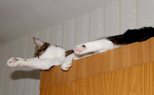 IMG_9878 (640x393).jpg