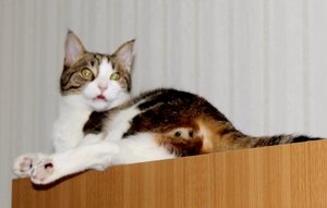 IMG_9880 (640x406).jpg