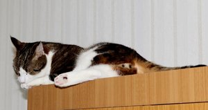 IMG_9881 (640x339).jpg