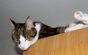 IMG_9887 (640x398).jpg