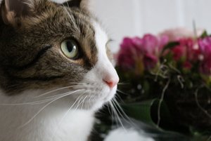 IMG_9905 (640x427).jpg