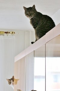 IMG_9908 (423x640).jpg