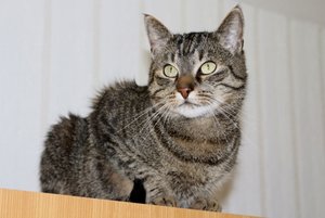 IMG_9962 (640x427).jpg