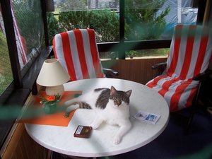 aaa urlaub 2005 128.jpg