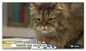 Thomas_TSEZ_2014 Gesicht groß.jpg