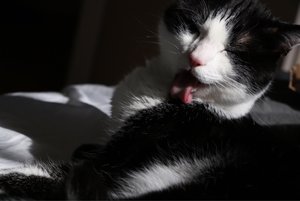 ImageUploadedByTapatalk1429185344.257242.jpg ImageUploadedByTapatalk1429185344.257242.jpg