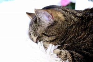 IMG_0200 (640x427).jpg