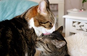 IMG_0215 (640x411).jpg