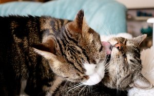 IMG_0218 (640x397).jpg