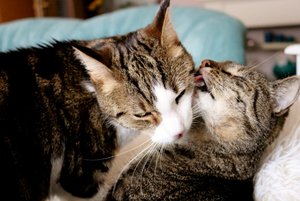 IMG_0219 (640x427).jpg