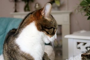 IMG_0231 (640x427).jpg