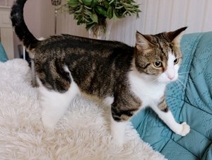 IMG_0245 (640x481).jpg