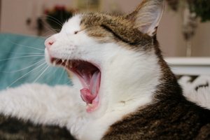 IMG_0268 (640x425).jpg