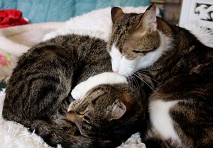 IMG_0272 (640x444).jpg