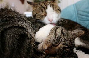 IMG_0275 (640x419).jpg