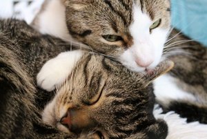 IMG_0287 (640x427).jpg