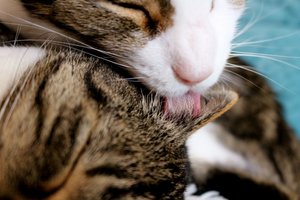 IMG_0290 (640x426).jpg