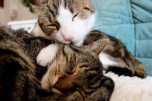 IMG_0291 (640x426).jpg