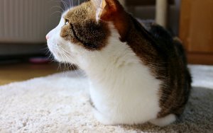 IMG_0295 (640x400).jpg