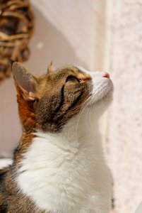 IMG_0488 (427x640).jpg