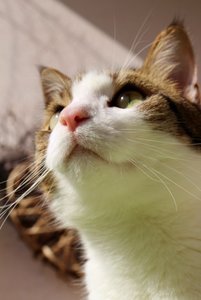 IMG_0493 (427x640).jpg