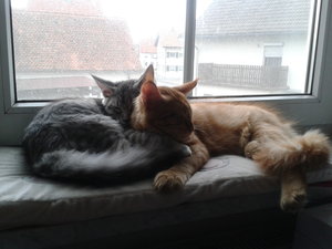 2013-08-27 17.27.59.jpg