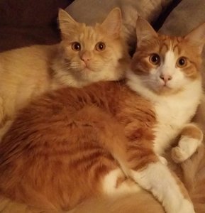 2015-04-24 14.50.35.jpg