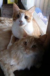 2015-04-25 11.08.05.jpg