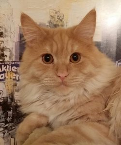 2015-04-28 16.42.53.jpg