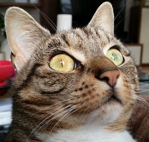 2015-04-09 21.44.31.jpg