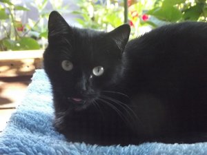 DSCF1770 (Kopie).JPG