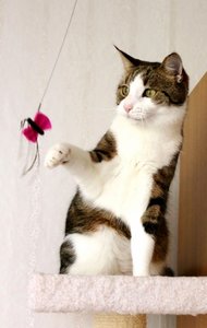 IMG_0952 (404x640).jpg