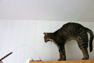 IMG_1009 (640x427).jpg