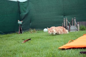 IMG_4532 Kopie (Medium).jpg